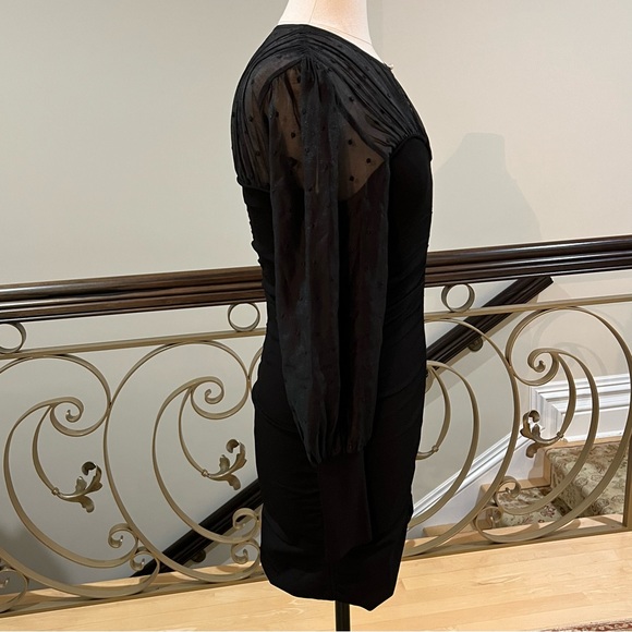 NWT Sandro Balmora Swiss Dot Long Sheer Sleeve Mini Dress - Picture 5 of 15